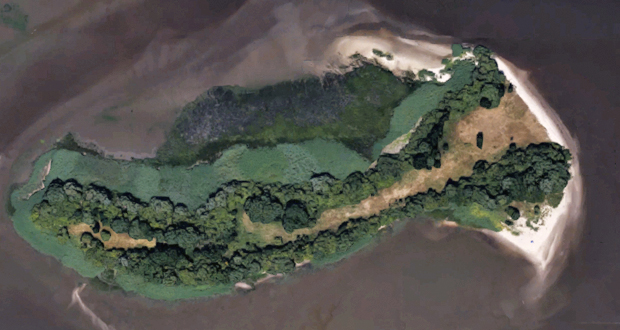 Blankenese - Nesssand