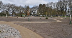 Am Eingangstor zum Regionalpark Wedeler Au ist aus 27 Bäumen des Jahres ein Baumpark entstanden. 