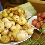 Beim Kartoffeltag dreht sich alles um die tolle Knolle (Foto: FLMK)