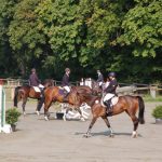Reiten auf dem Birkenhof im Klövensteen