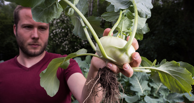 In Coronazeiten selbst Gemüse anbauen (Foto: NABU/S. Hennigs)