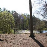 Laufen durch den Wald in Rissen: Nordic Walking im Klövensteen