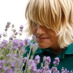 Kräuter für die Sinne entdecken