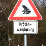 Krötenschilder weisen auf Amphibienwanderung hin. Quelle: NABU/Helge May