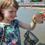 Die Artenvielfalt der Nordsee mit Kescher und Becherlupe des Küstenlabores entdecken Foto: BMBF/Wissenschaftsjahr 2016*17