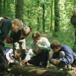 Neben Waldführungen wird auch die Tierwelt in Teichen  mit dem NABU erkundet. Foto: NABU