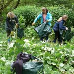 Neophythen-Einsätze schützen die Umwelt Foto: NABU/Krzysztof Wesolowski