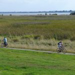 Eine Radtour entlang der Elbe