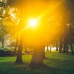 A Summer's Tale Festival in Leumühlen. Foto: FKP Scorpio