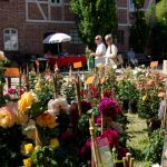 Rosenmarkt am Kiekeberg