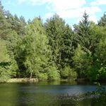 Feuerlöschteich im Klövensteen