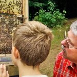 Imkertrag am Kiekeberg - Aktionen rund um Biene und Honig. Foto: FLMK