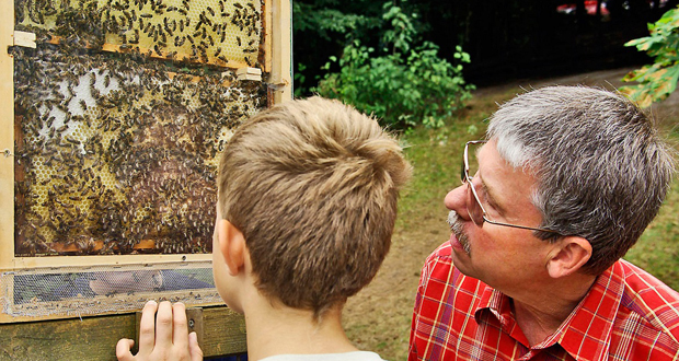 Imkertrag am Kiekeberg - Aktionen rund um Biene und Honig. Foto: FLMK