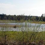 Regionalpark Wedeler Au fort