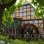 Mühlentag im Mühlenmuseum Moisburg mit buntem Programm. Foto: FLMK