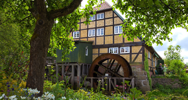 Mühlentag im Mühlenmuseum Moisburg mit buntem Programm. Foto:  FLMK