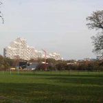 Der Osdorfer Born ist ein Stadtteil der Kontraste – hier leben über 13.000 Menschen, ganz in der Nähe grasen Pferde gemütlich in der Feldmark