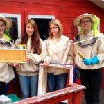 Trauern ihrem Bienenvolk nach: Die Lehrerinnen Christina Vogel (links) und Janine Sick (rechts) mit den Schülerinnen Luisa (2.v.l.) und Esther (3.v.l.), beide aus dem Biologieprofil Jg. 10. Foto: Stadtteilschule Blankenese
