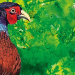 Die neue Ausstellung im BrookHus zeigt handgezeichnete Tierportraits in
