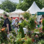 Inspiration für Ihren Garten bietet ein großes Angebot an Englischen Rosen, Hortensien und Stauden. Foto: Home & Garden