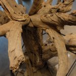 Der Künstler Ai WaiWai bearbeitete für die Ausstellung einen Baum, um die Entwurzelung seiner Familie in China darzustellen (Foto: Barbara Makowka)