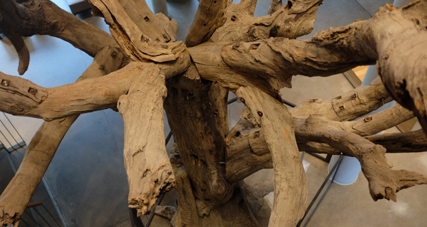 Der Künstler Ai WaiWai bearbeitete für die Ausstellung einen Baum, um die Entwurzelung seiner Familie in China darzustellen (Foto: Barbara Makowka)