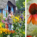 Norddeutschlands größter Pflanzenmarkt am Kiekeberg (Foto: FLMK)