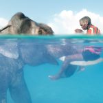 Einzigartige Fotomomente (Foto: National Geographic)