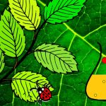 Beim Familiensonntag im Loki Schmidt Haus kann viel entdeckt werden (Foto: Petra Schwarz)