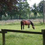 Naturerlebnisanbieter aus der Metropolregion bilden sich im