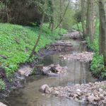 Mehr Lebensräume für die Tiere in der Wedeler Au. Foto: NABU/Andreas Lampe