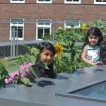 Blühendes Leben auf der Dachterrasse des Ronald McDonald Hauses in Altona. Foto: Anne Spekker