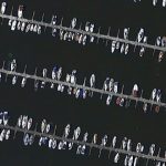 Wedel, von oben, Vogelperspektive, Yachthafen