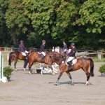 Reitverein Birkenhof lädt zum großen Sommerturnier ein. Foto: Petzold