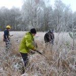 Gehölze müssen zum Wohle des Moores entfernt werden (Foto: Heinz Peper)