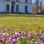 Frühling, Elbvororte, Blankenese, Baurs Park, Hamburger Westen