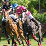 Ballsport zu Pferde (Foto: Bernhard Willroth)