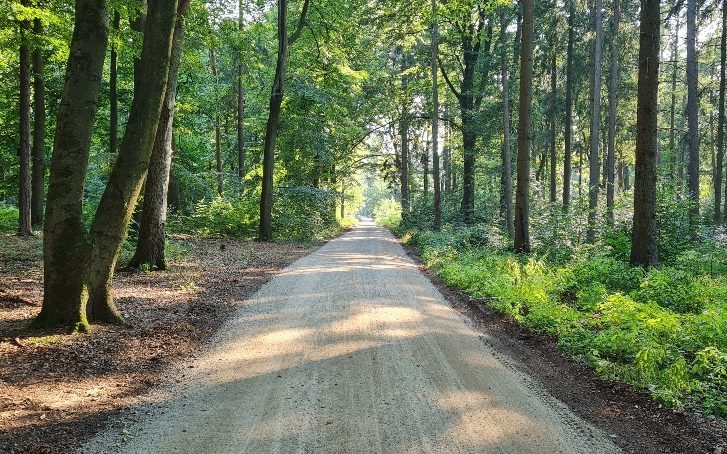 Wegbau im Klövensteen // Foto: Bezirksamt Altona