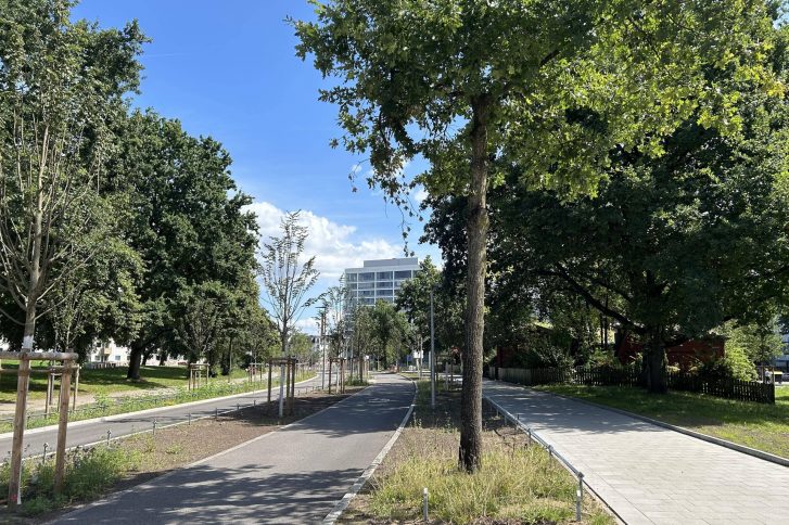 Louise-Schroeder-Straße