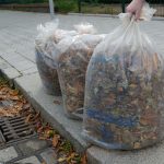 So soll es sein: Ordentlich verpackt kann Laub weder Abflüsse verstopfen noch überfrieren. // Foto: SRH