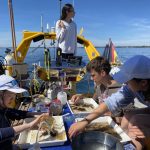 Eine Gruppe aus Schülern und Wissenschaftlern forscht an Bord des Schiffes