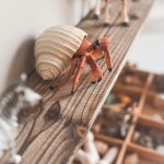 Spielzeugmarkt - Symbolbild