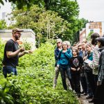 Ein Guide informiert die Besuchenden über die Stadtnatur