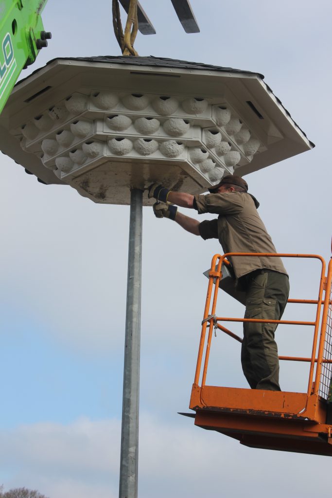 Der hochaufragende Turm bietet 60 Nistplätze. // Foto: Bezirksjägergruppe Altona-Blankenese