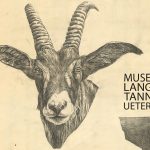 Die Zeichnungen Bocherdings scheinen in die Zeit der großen meister zu gehören. Eine spannungsreiche Illusion, wie man sie nur selten sieht. // Foto: Langes Tannen