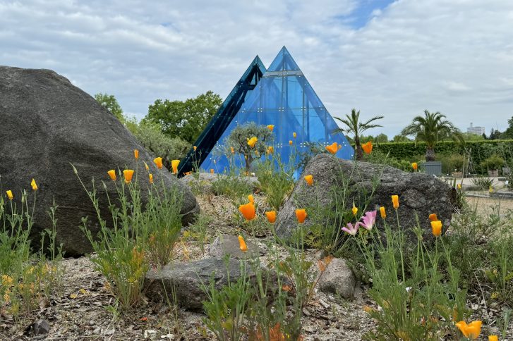 Der Wüstengarten zeigt, dass auch in scheinbarer Ödnis Leben gedeiht. // Foto: Botanischer Garten Hamburg