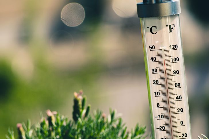 Die Temperaturen sollen auf über 35 Grad steigen. // Foto: © Jarosław Kwoczała on Unsplash