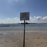 Hinweisschilder warnen vorm Baden in der Elbe