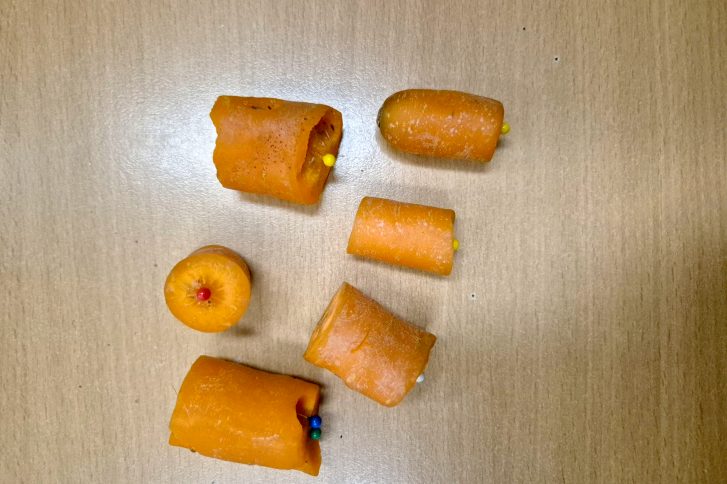 Die Polizei fand insgesamt sechs präparierte Karottenstückchen auf der Weide des verletzten Pferdes. // Foto: Polizeidirektion Bad Segeberg