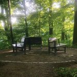 Das Lindenrondell in neuem Glanz // Foto: Hirschparkverein